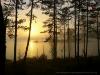 Туристы смогут встретить Новый 2007 год и провести рождественские каникулы на Валааме 