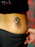 tatu3.jpg