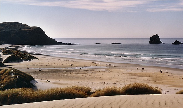 sr_nzel_01.jpg